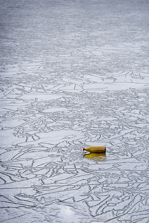 concours photo "Les déchets recyclables" décembre 2023 User_132_octobre