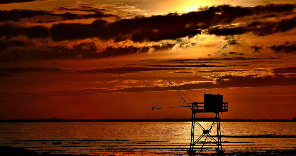 Discussion sur les photos du Concours de Janvier 2012 User_194_CONCOURS_couchersoleil