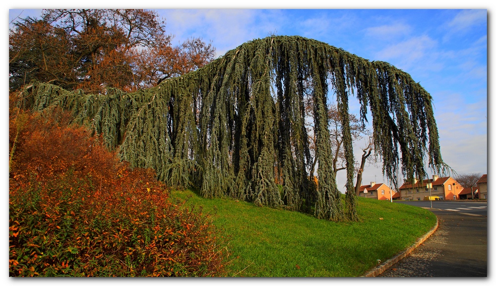 Discussion sur les photos du Concours de Decembre 2011	   User_267_DSC00096