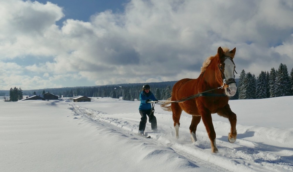 Thème de Janvier 2017 "MOYEN(S) DE TRANSPORT" - Page 2 User_2726_lumix2