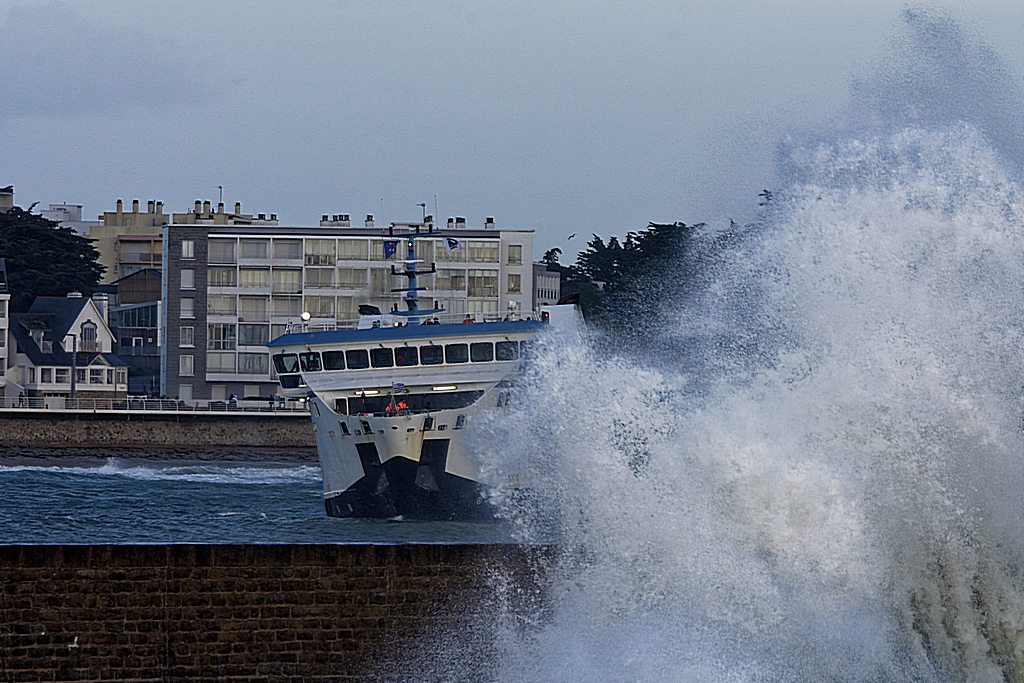 Concours photo "Danger Immédiat" Juillet 2022  - Page 2 User_2990_DSC_1964_DxO