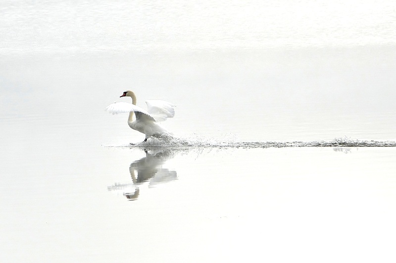 Hors concours "Minimalisme" User_2994_DSC_5896%20(3)