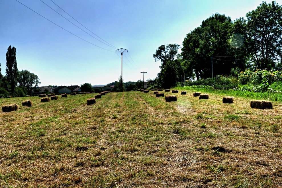 Concours photo Juillet 2021: "Parallèles ou à peu près"  - Page 3 User_3456_P1160735tmAC