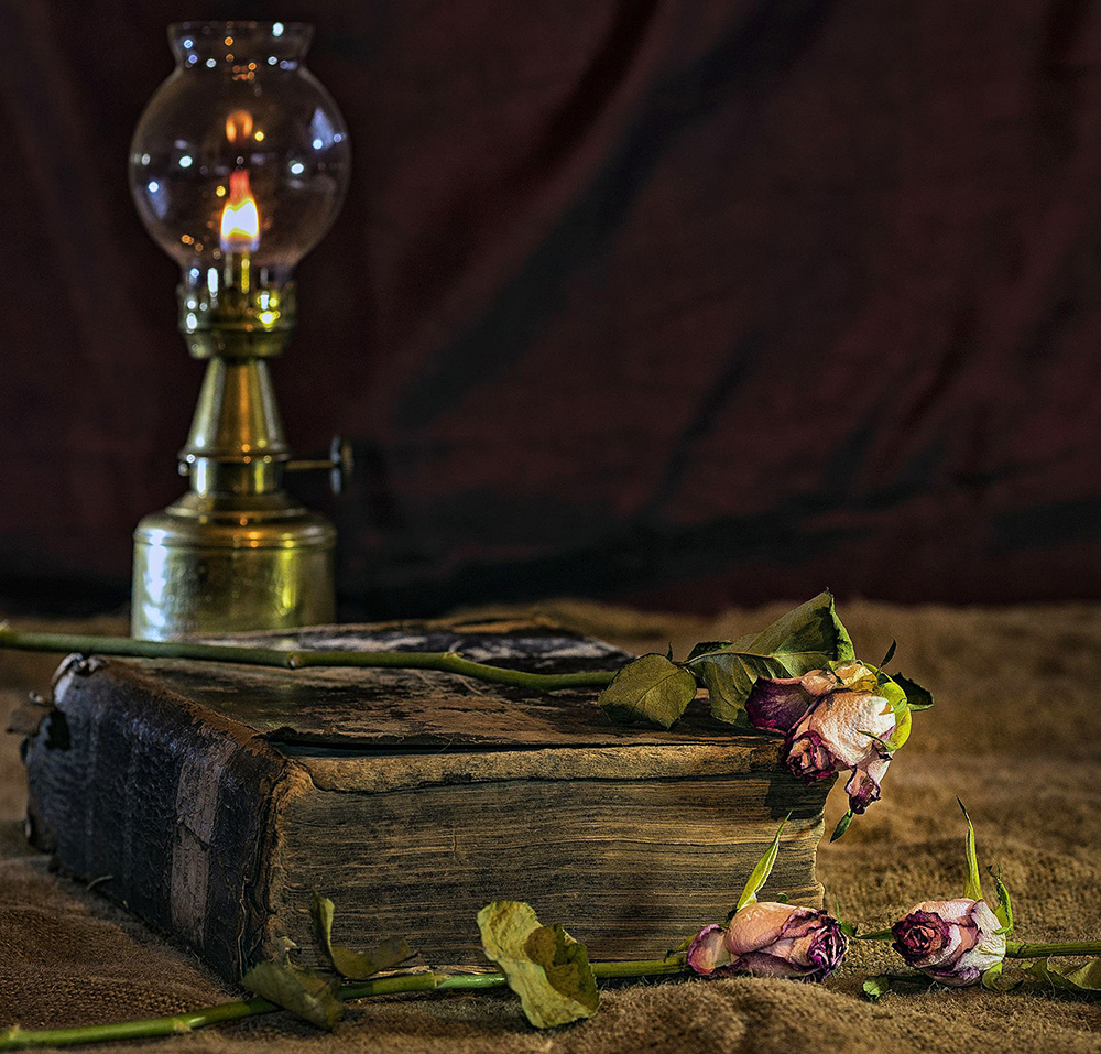 concours photo "Nature morte" novembre 2023 User_3661_Les%20%20trois%20roses%202%20%20