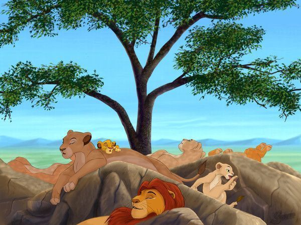 lion - Le roi lion (images pour enfants) 0e17b1e6