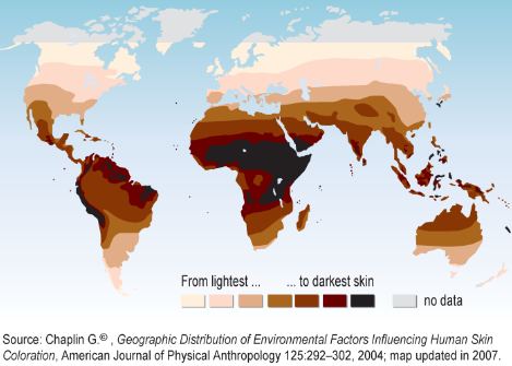 Resistencia Bacteriana de nueva generación. - Página 25 Skincolormap