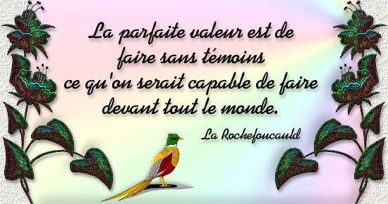 La citation du jour - Page 5 2om37rpq