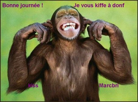 mardi 27 oct ...... oh ! la la !!!! encore 32 jours !!..... j'vais jamais t'nir Sp357mfn