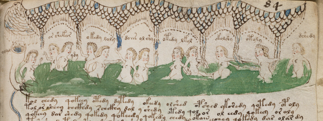 Of The Voynich Manuscript. The most mysterious book can be deciphered. F84r-voynich-nymphs