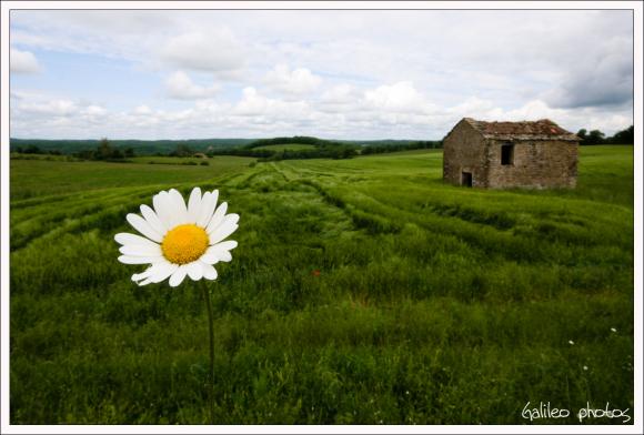 CARÊME 2010   SE SENTIR AIMÉ Marguerite