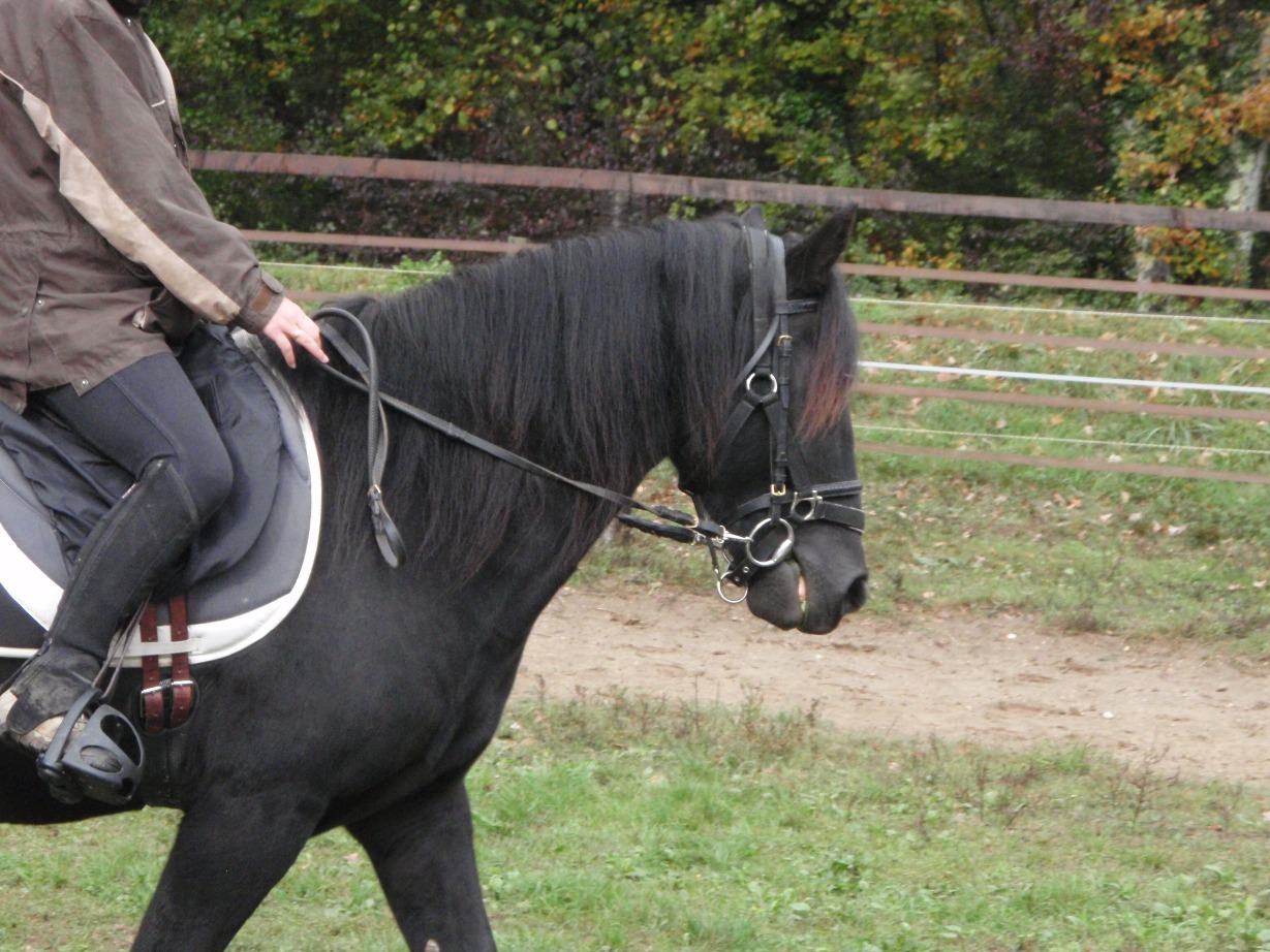 Neptu Jurat, mon petit PRM PA100011