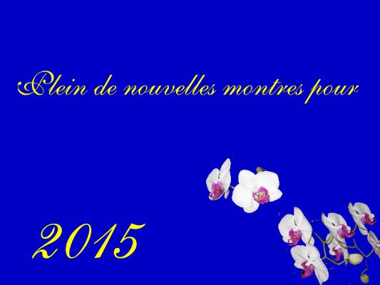 Bonne année 2015 pour cette nouvelle année qui va commencer. Voeux_2015