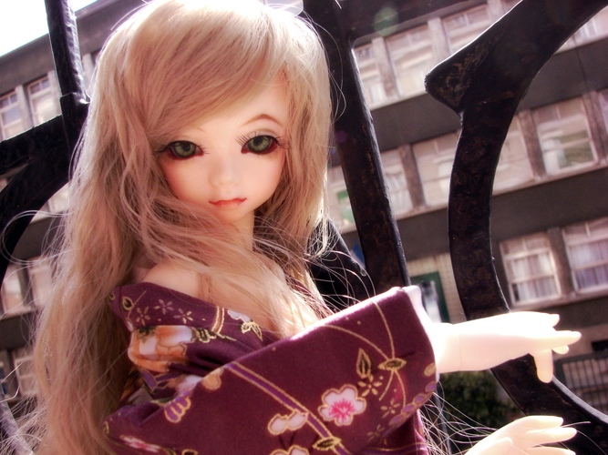 Shierke (momo de dollmore) DSC09728