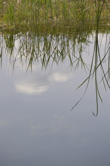 Sortie au Bourget du Lac 02/05 7