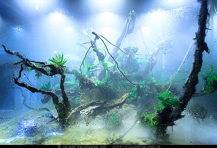 Island Paludarium 360° de A à Z - 100x100x70 - (Nouveau projet) - Page 7 Island-Paludarium-360_107