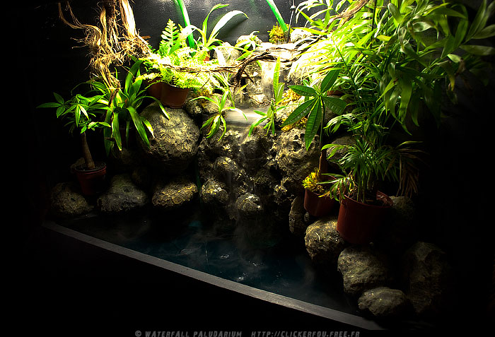 Waterfall Paludarium à LEDs de A à Z - (Projet terminé) - Page 3 Waterfall-Paludarium_028