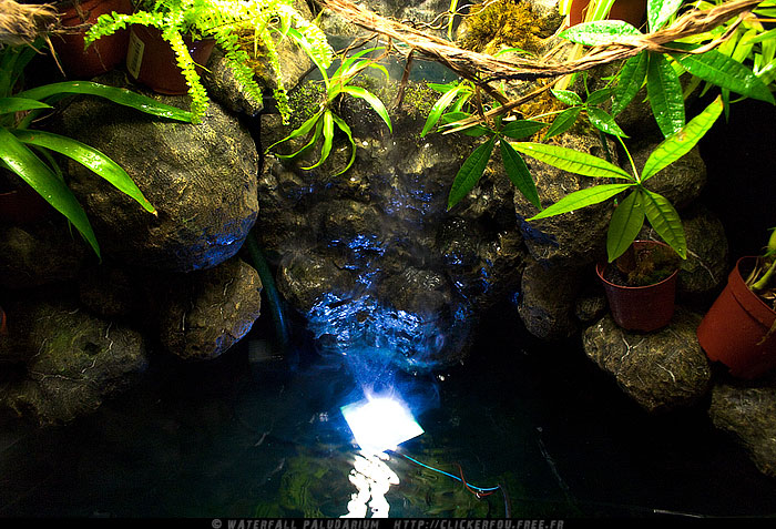 Waterfall Paludarium à LEDs de A à Z - (Projet terminé) - Page 3 Waterfall-Paludarium_033