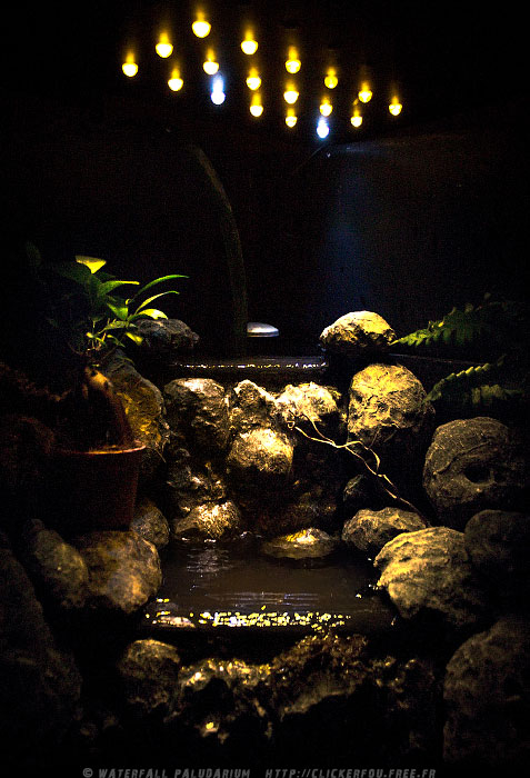 Waterfall Paludarium à LEDs de A à Z - (Projet terminé) - Page 4 Waterfall-Paludarium_040