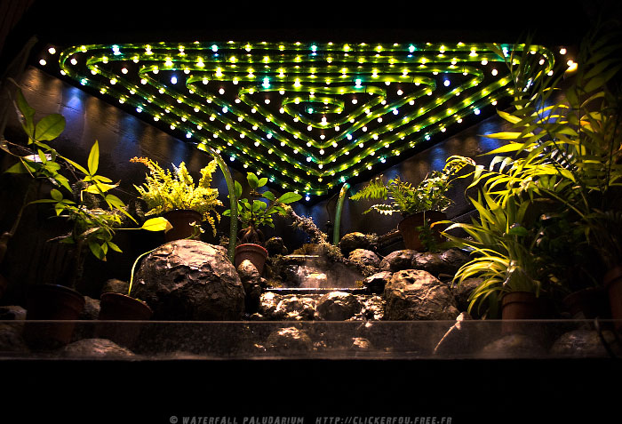 Waterfall Paludarium à LEDs de A à Z - (Projet terminé) - Page 5 Waterfall-Paludarium_050