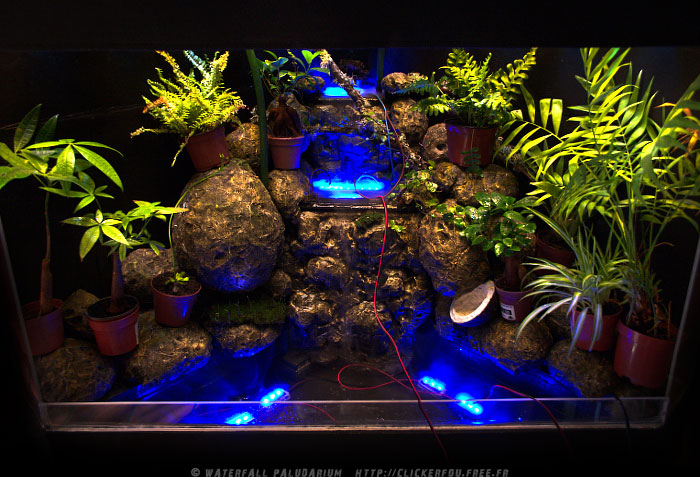 Waterfall Paludarium à LEDs de A à Z - (Projet terminé) - Page 5 Waterfall-Paludarium_055