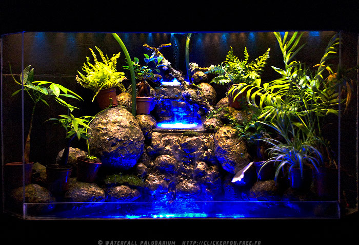 Waterfall Paludarium à LEDs de A à Z - (Projet terminé) - Page 6 Waterfall-Paludarium_056