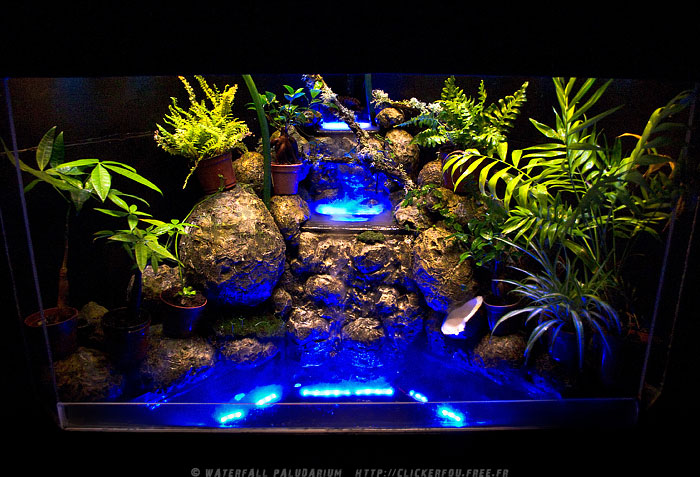 Waterfall Paludarium à LEDs de A à Z - (Projet terminé) - Page 6 Waterfall-Paludarium_057