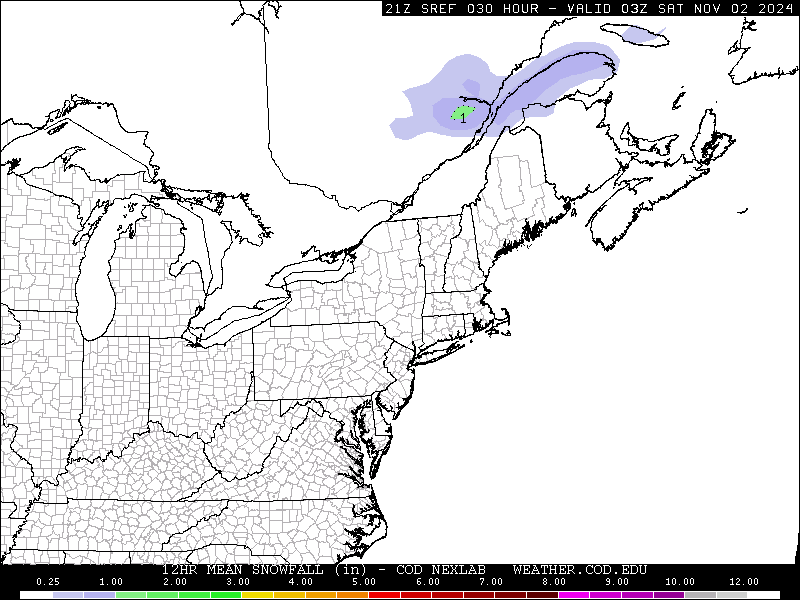 3/20 Spring Snowstorm Observations / Final Call Snow Map SrefNE_prec_snowmn12_030