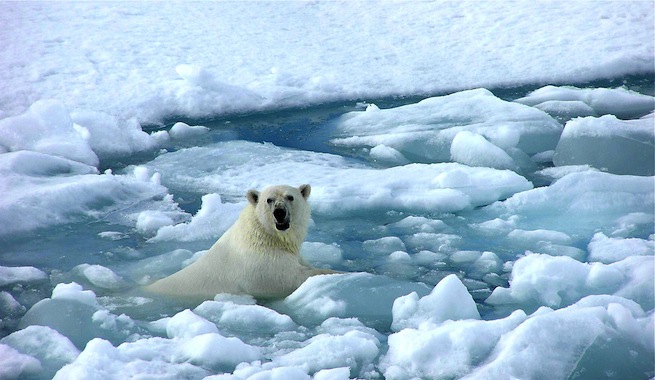 El movimiento para combatir el cambio climático Calentamiento-global-cambia-vida-de-personas