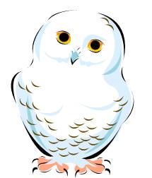 WhiteOwl