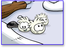 Club penguin puffles guide White-puffles