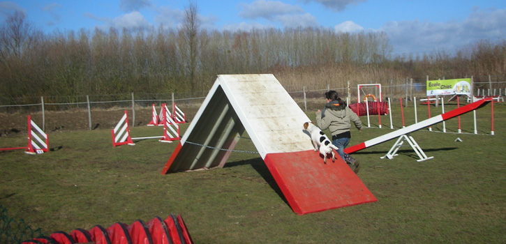 Qu'est ce que l'Agility ? Parcours_agi