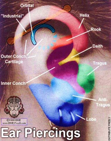 Piercings, Tatouages & co... Ear