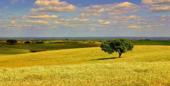 Um roteiro do Alentejo não procura os locais mais comerciais do Alentejo Alentejo