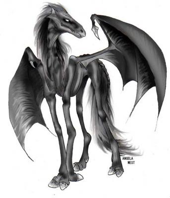 Mascotitas del Reino de los Vampiros ^^ 20070309230224-thestral