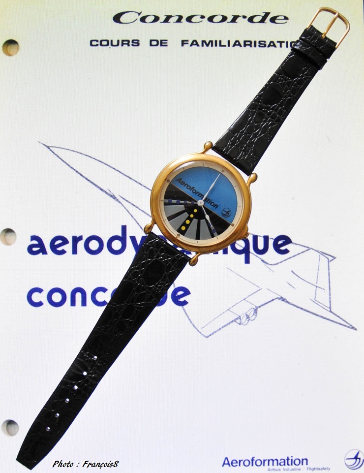 Le Concorde et les montres - Page 13 Montre306_1