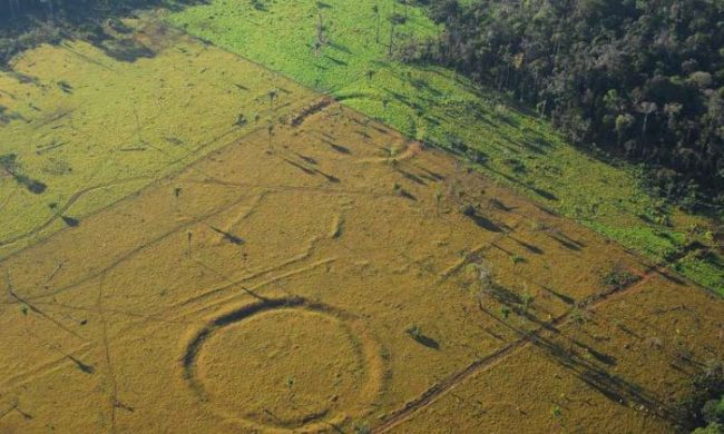 Info Extraterrestre: Abducciones - Contactos - Razas - Etc. - Página 9 Geoglyphs-1-650x390