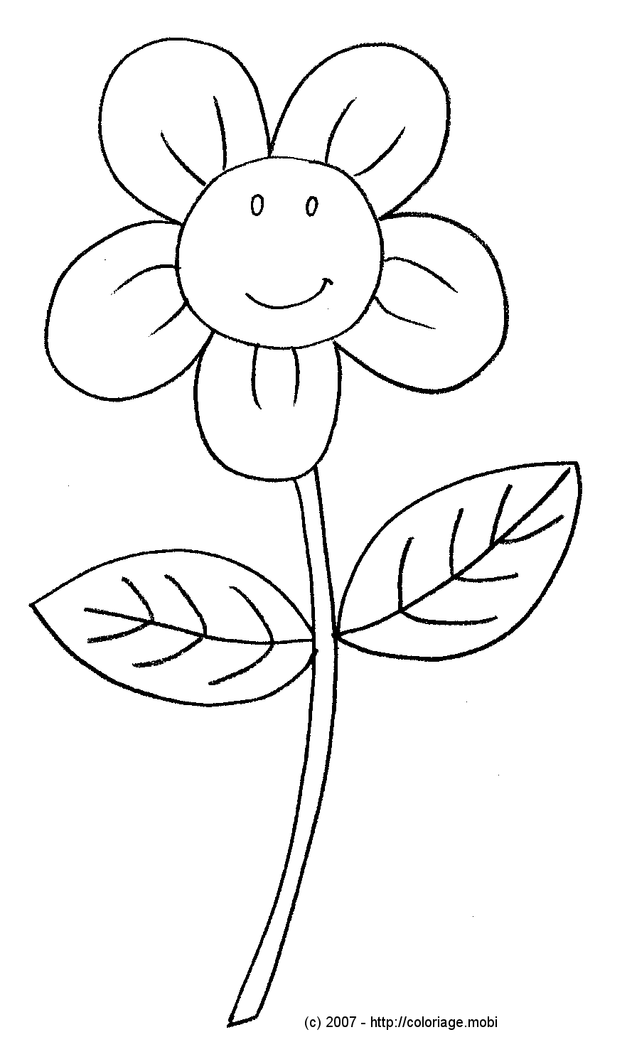 Fairy Tail ~ Hiro Mashima - Page 3 Fleur_souriante