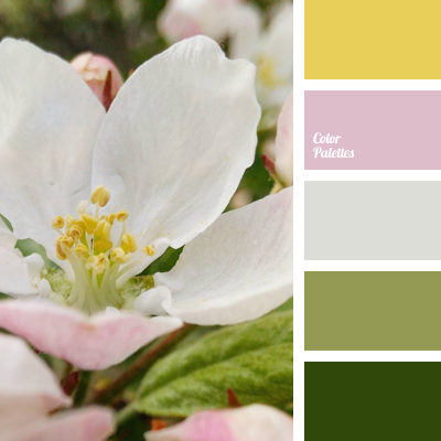 Le printemps arrive... Color-palette-2823