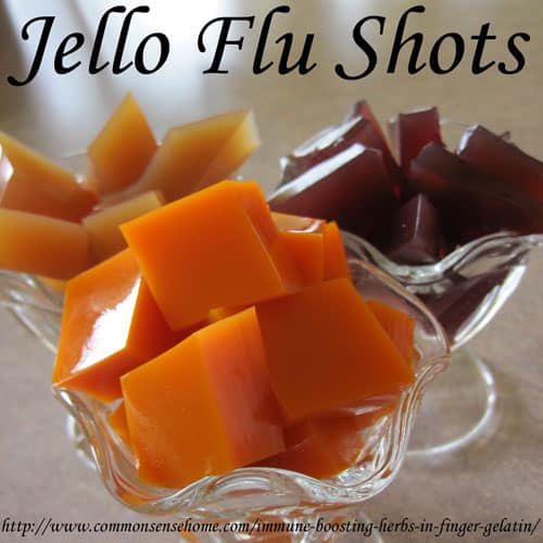 Jello Flu Shots – Immune Boosting Herbs in Finger Gelatin Jello-flu-shots1