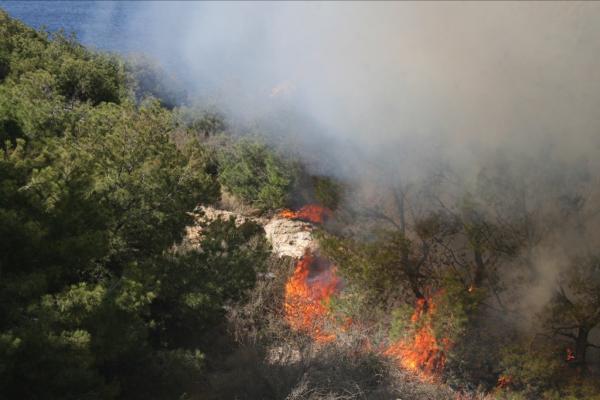 Incendios Forestales - Página 8 1338660820402_incen_016001