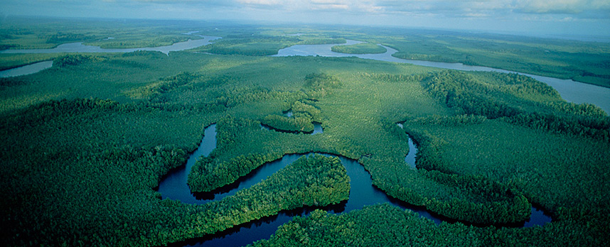 10 najvecih i najduzih reka na svetu Ctt_Congo-Basin