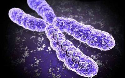 Scientific Oddity or Medical Miracle? Shattered Chromosome Cures Woman Of Immune Disease 4-chromo-compressed