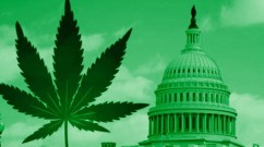 This Bill Will Finally End Cannabis Prohibition This-Bill-Will-Finally-End-Cannabis-Prohibition-242x135