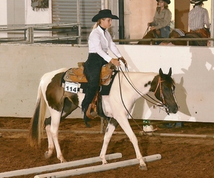 DE RODEO!! Faith-Full-Message-2012-State-4-H-Horse-Show-Crop-300