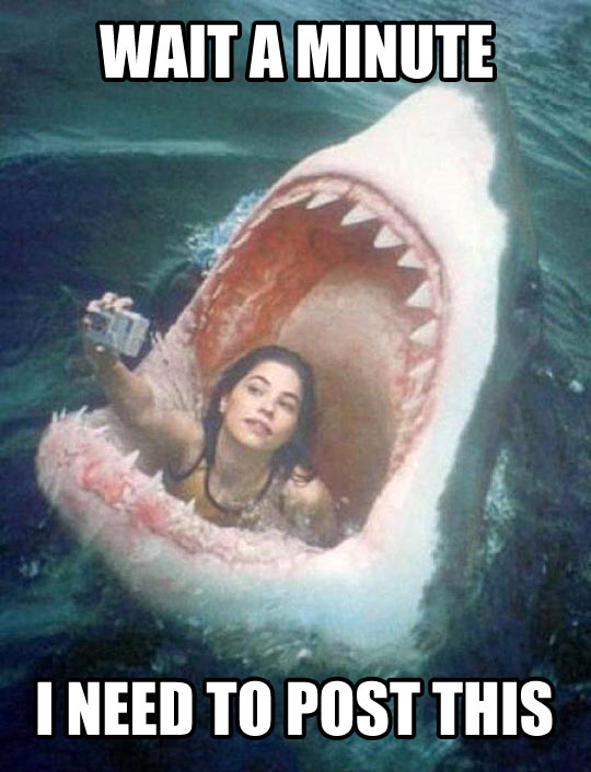 Un peu de Zemmour - Page 39 Funny-girl-selfie-shark