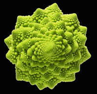 Un univers fractal ChouxRomanesco