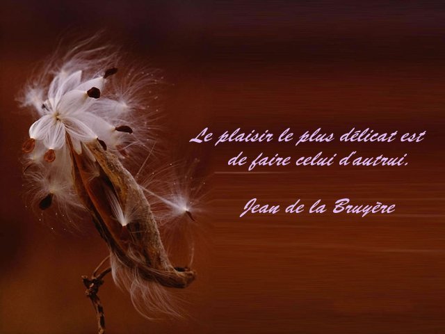 Autres citations si vous aimez???   Citationleplaisir