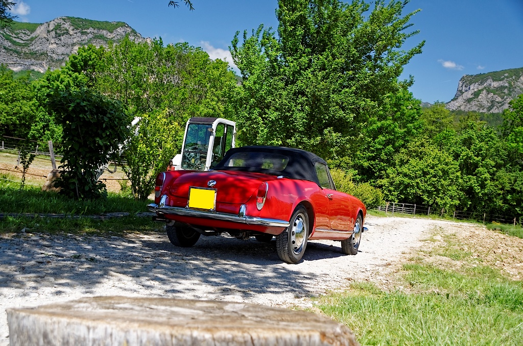 [Alfa Romeo] Giulietta spider _DSC9533