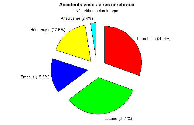 Pathologie Vasculaire Cérébrale Image007