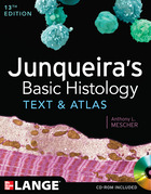 Junqueira's Basic Histology, 12th Edition 0071780335